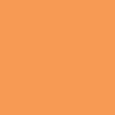 Orange 86-8204