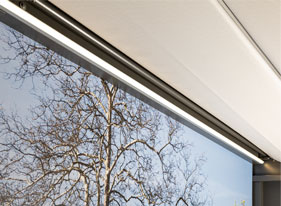 Fenster